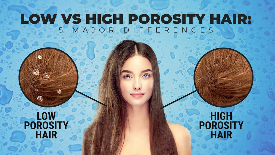 low vs high porosity hair
