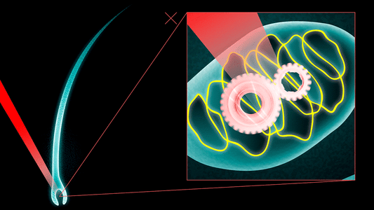 reviving mitochondria by laser hair therapy