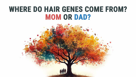 where do hair genes come from
