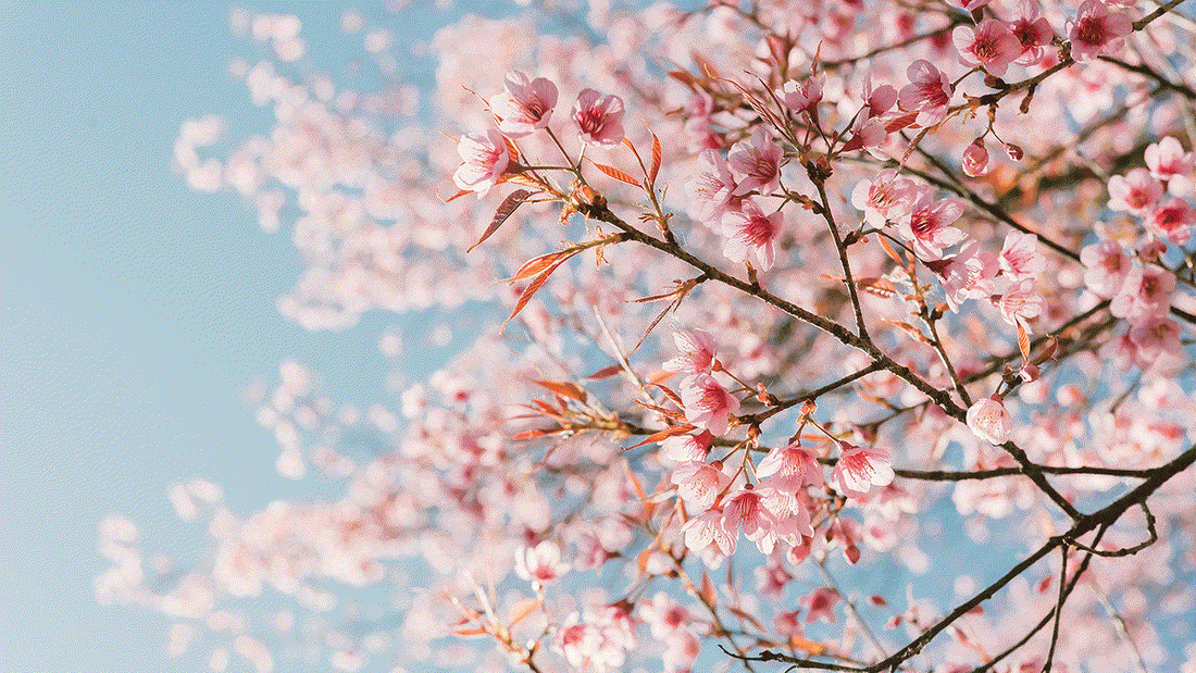 protect your hair in spring with this routine