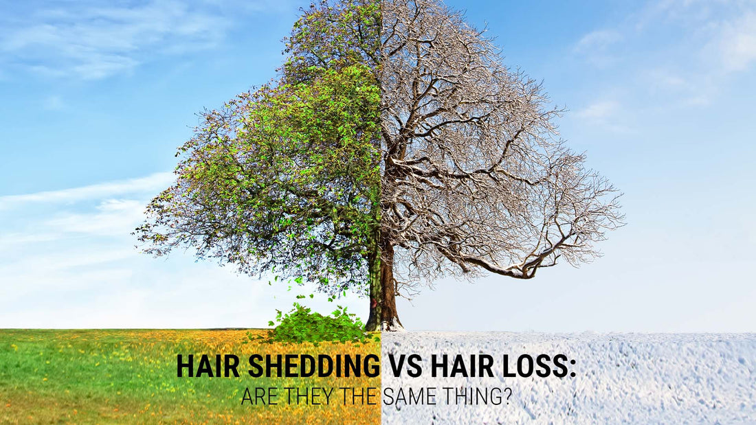 hair shedding vs hair loss