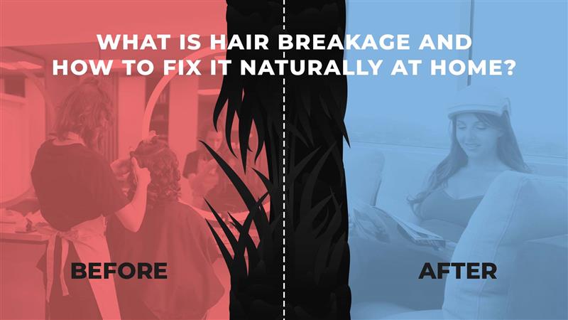 what is hair breakage and how to fix it