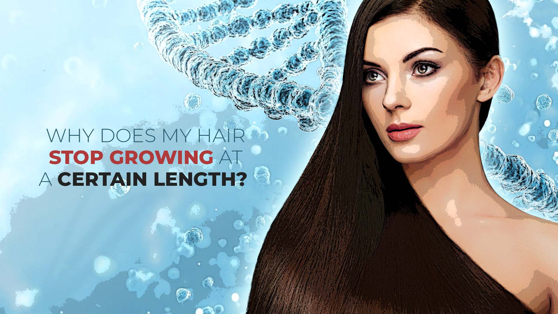 why does hair stop growing at certain length