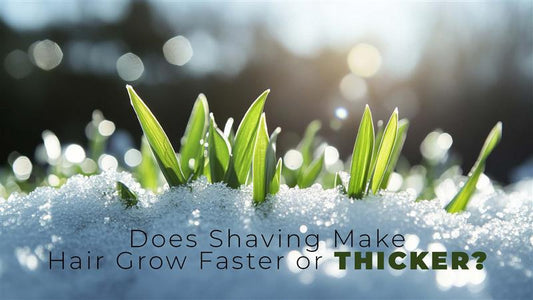 does shaving make hair grow faster or thicker