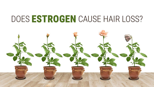 can estrogen lead to hair loss
