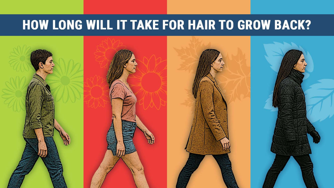 how long will it take for your hair to grow back
