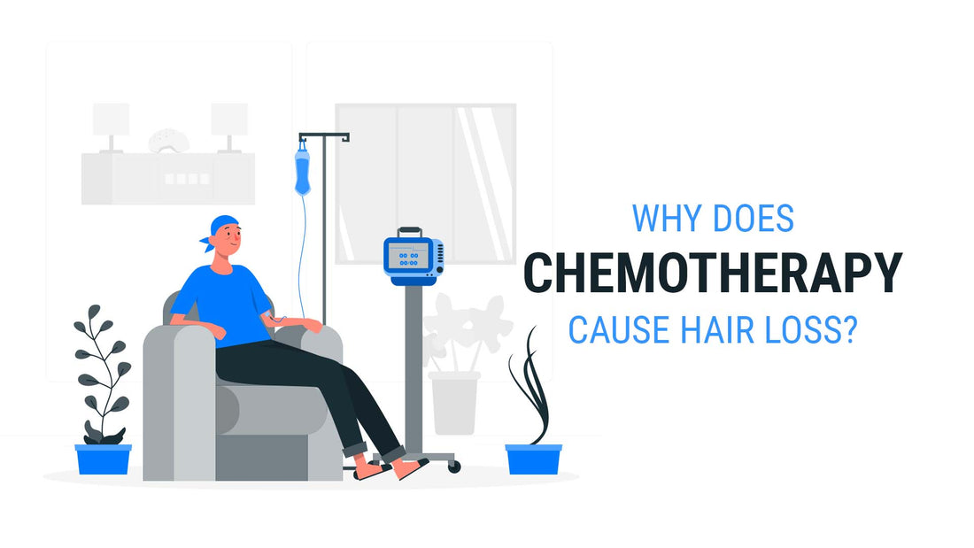 why does chemotherapy cause hair loss