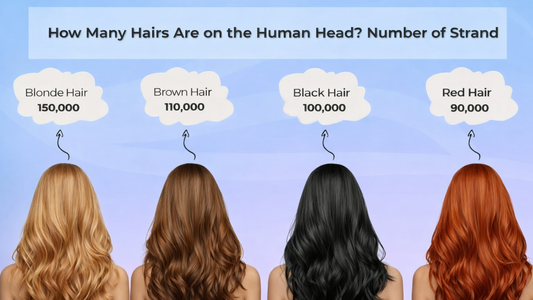 how many hairs are on the human head