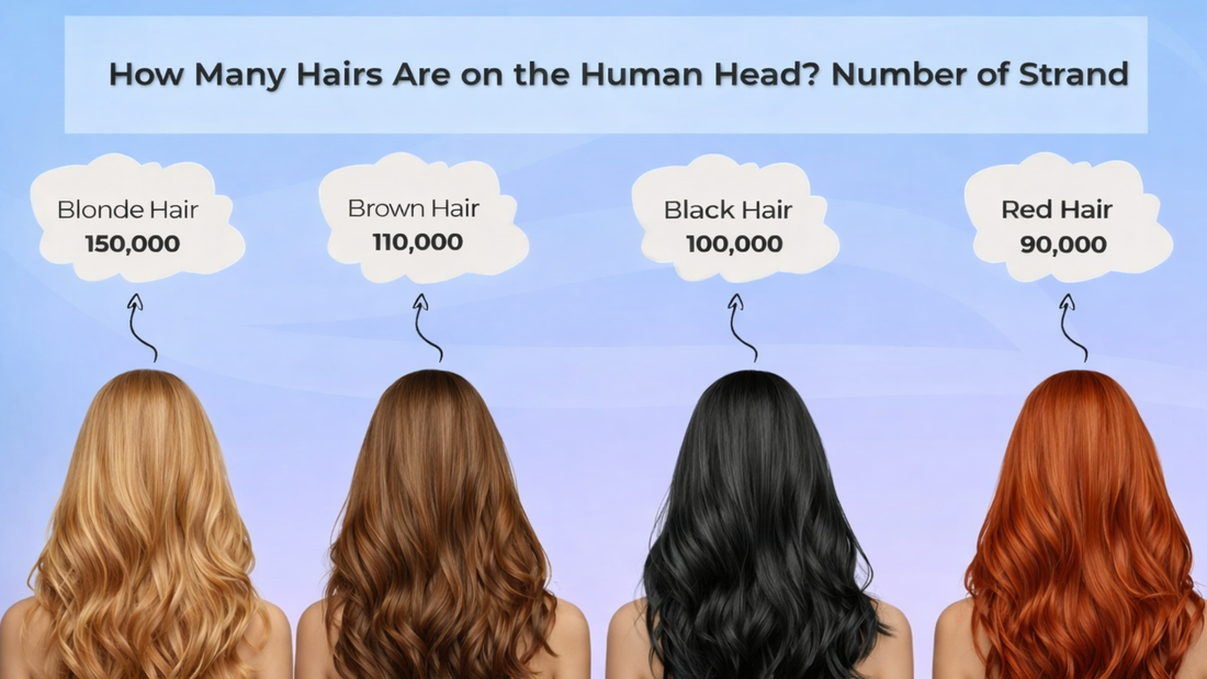 how many hairs are on the human head