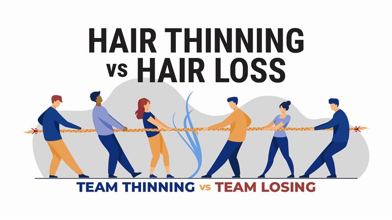 differences between hair thinning and hair loss