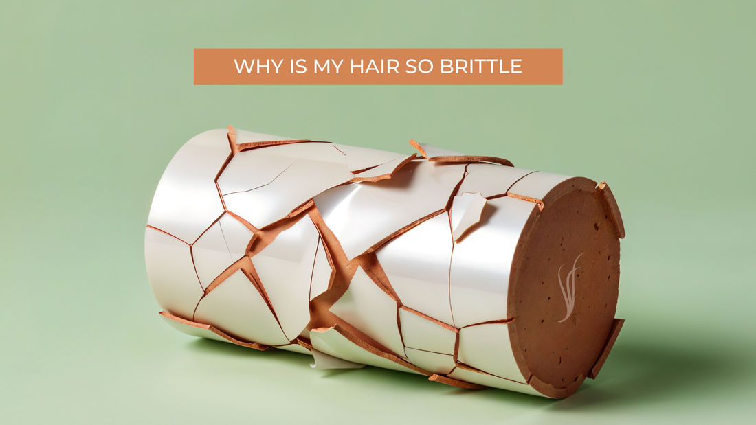 why is my hair so brittle