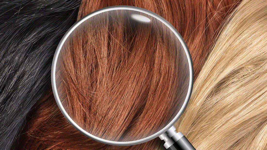facts and myths about hair loss