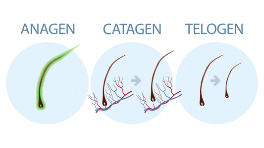 how to prevent hair loss