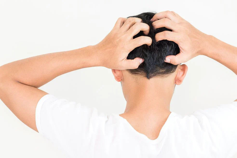 itchy scalp and hair loss connection