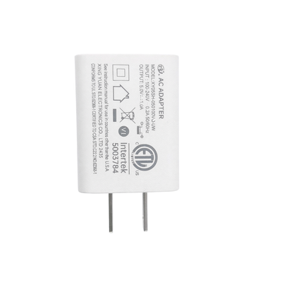 Replacement AC Charger