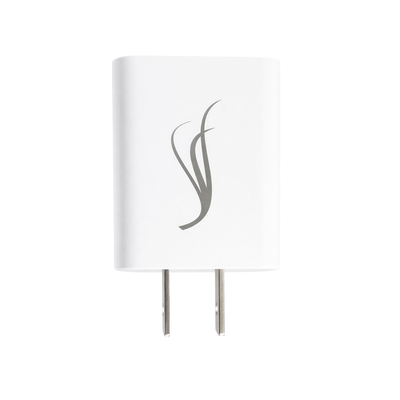 Replacement AC Charger