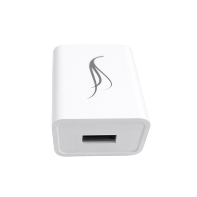 Replacement AC Charger